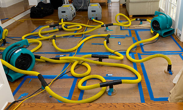 Professional Basement Flood Cleanup technician working in Statham, GA